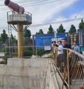 杏耀注册汶上县委常委、副县长张沉静，