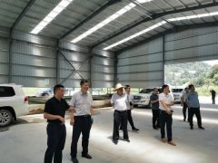 杏耀湖北省自然资源厅调研麻城市石材资