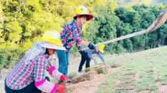 杏耀登录福建永定：投入1.53亿元修复洪山