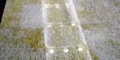 杏耀注册石学堂 | 胶粘剂对石材的污染表