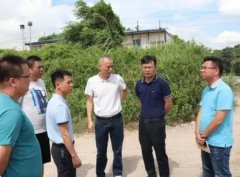 麻城市坚持“当下改”与“长久立”推进