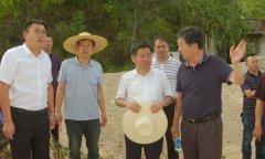 擦亮英山“南大门”，努力将南河镇打造