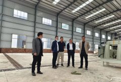 县委常委、杏耀测速常务副县长唐奕到文市镇调