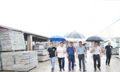 杏耀登录湖南茶陵县领导调研指导石材产