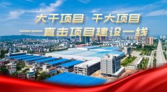 麻城白果镇：当好金牌“店小二” 杏耀手