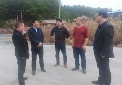 坚持转型升级，加快构建灌阳石材产业高