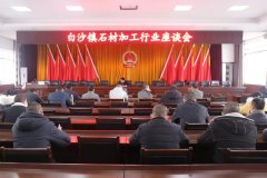 杏耀手机APP登录白沙镇召开石材加工行业