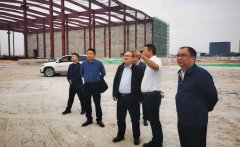 杏耀手机APP登录重磅：麻城市长到石材产