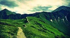 杏耀测速湖北省绿色矿山建设三年行动方案（2