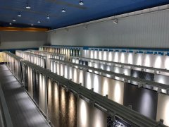 产业发展符合“碳中和”，国内现存人造