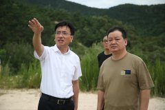 莱州市领导调研督导石材矿山恢复治理工