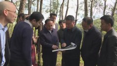 杏耀手机APP登录湖北大悟县加大力度推进