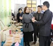 云浮市委副书记、市长王胜到云城区、云