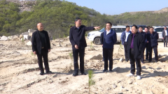 杏耀注册随县县委书记陈兴旺调研指导矿