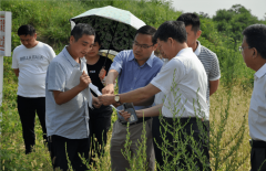 杏耀测速驻马店市政协委员视察调研北泉