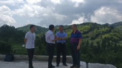 杏耀注册隆回县委书记王永红现场督查小