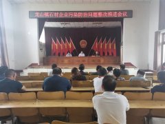 龙山镇全面启动石材、矿产加工企业专项