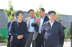 杏耀平台汶上县县政协视察石材矿山综合整治工