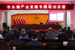 水头镇召开石材产业长期发展及转型升级