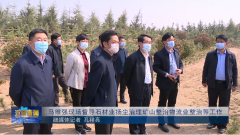 五莲县县委书记马维强现场督导石材业扬