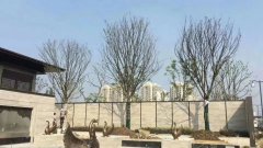 石材小知识—关于石材的分类