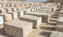 全面了解珍贵的木纹石