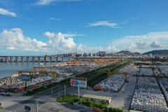 杏耀手机APP登录荒料堆放有要求，你知道