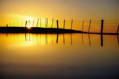 杏耀测速石趣 | 秋月白，晚霞红