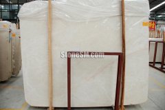 杏耀测速白玉兰——墙内开花墙外香