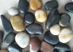 杏耀手机APP登录简单“四步骤”教你辨别