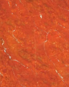 浅析西班牙珊瑚红、湖北珊瑚红