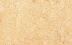 埃及米黄常见病变分析及预防方法参考